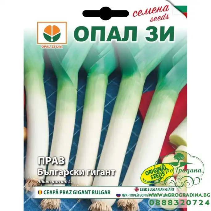 Праз Български гигант
