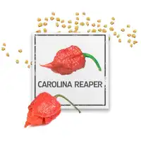 Семена Каролина Рийпър Carolina Reaper - най-лютата чушка в света!