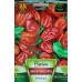 Много люти чушлета - хабанеро ред (червени)