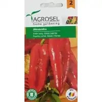 Пипер Александру Alexandru