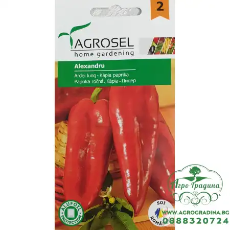 Пипер Александру Alexandru