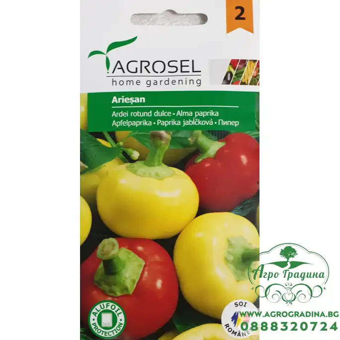 Сладки Чушлета Арисан Ariesan Сладки Чушлета Арисан Ariesan