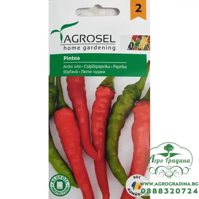 Пипер Пинтеа Pintea Пипер Пинтеа Pintea