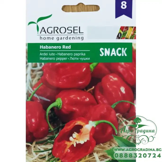 Люти чушки сорт Хабанеро Habanero Red