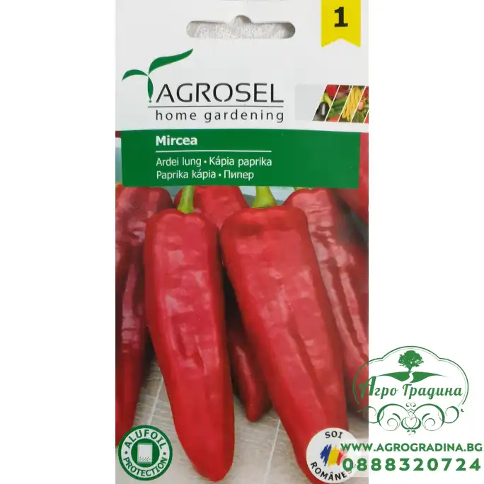 Пипер Мирцеа Пипер Мирцеа