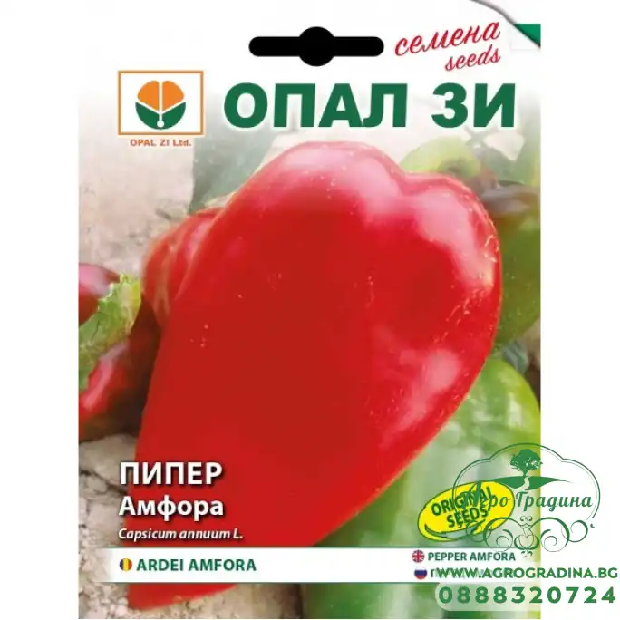 Пипер Амфора Пипер Амфора