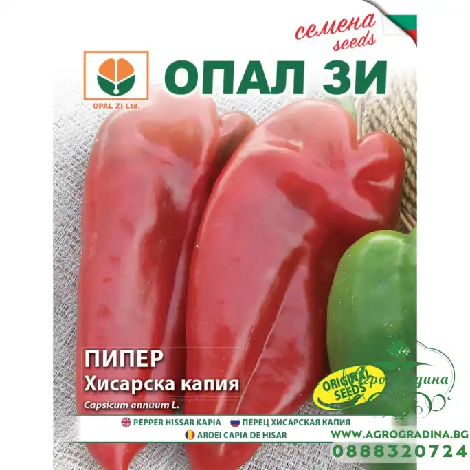 Пипер хисарска капия