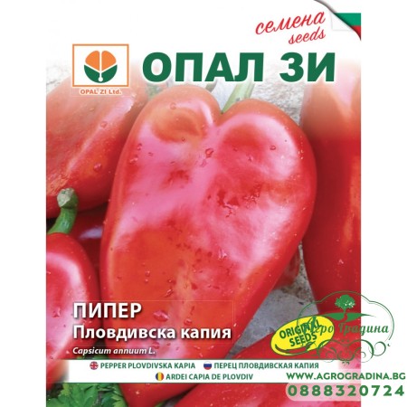 Пипер Пловдивска капия