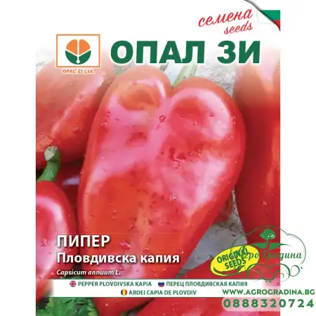 Пипер Пловдивска капия