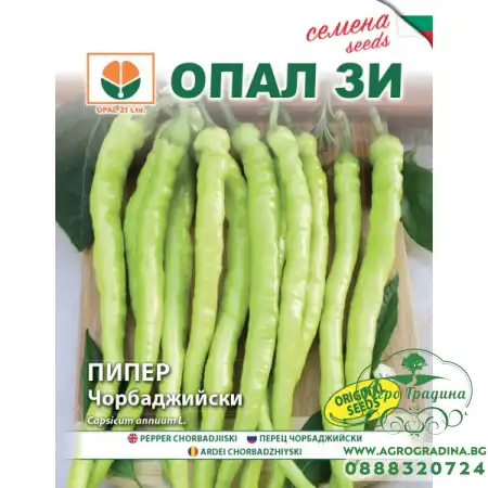 Пипер Чорбаджийски