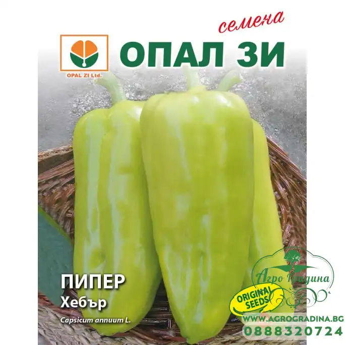 Пипер Хебър Пипер Хебър