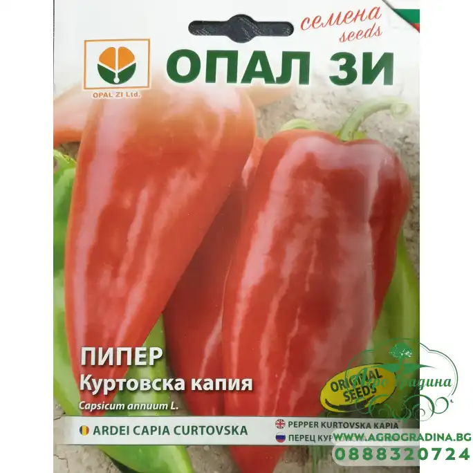 Пипер Куртовска капия