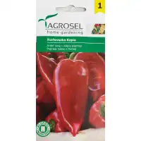 Пипер Куртовска капия