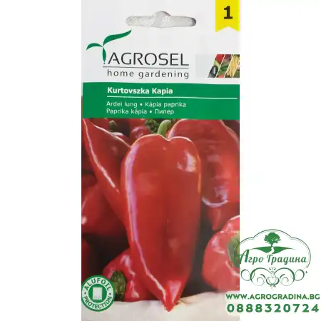 Пипер Куртовска капия