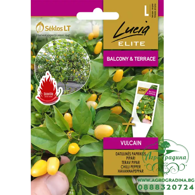 Пипер дърво Вулкан (много лют) Vulcain Пипер дърво Вулкан (много лют) Vulcain