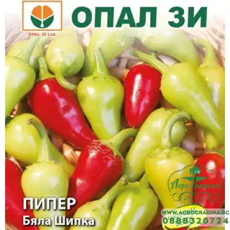 Лют Пипер Бяла Шипка
