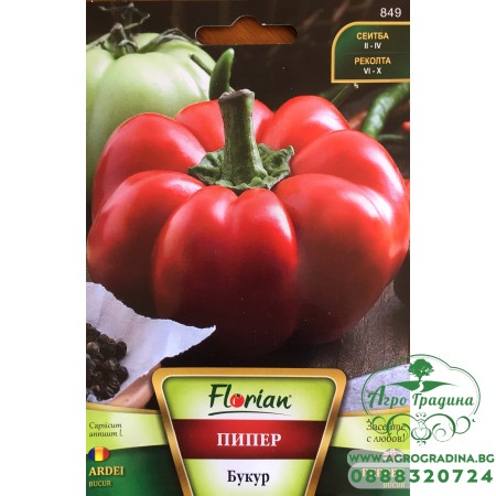 Пипер Букур (Камби гигант)