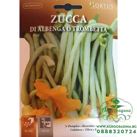 Тиква Албенга Tромпет (дълга, ядливи цветове) / Trombetta di Albenga