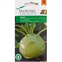 Алабаш Гигант