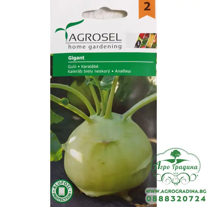 Алабаш Гигант