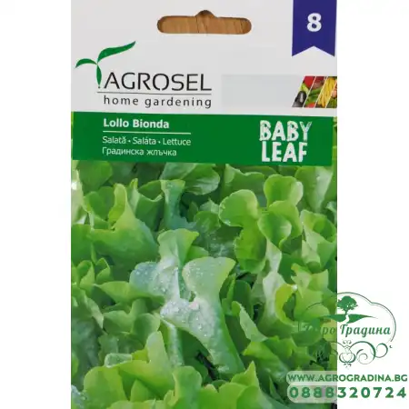 Бейби салата Лоло Бионда - микро растение