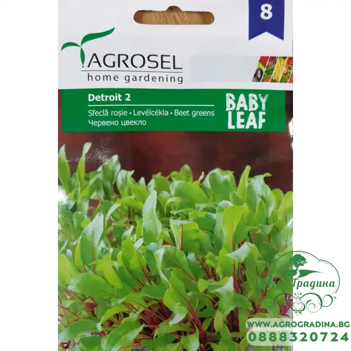 Бейби Червено цвекло Детройт - микро растение