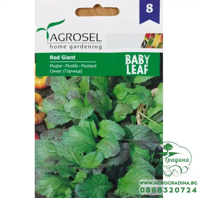 Бейби семена за Синап (горчица) - микро растение