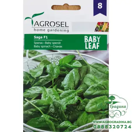 Бейби Спанак Сага F1 Saga F1 - микро растение
