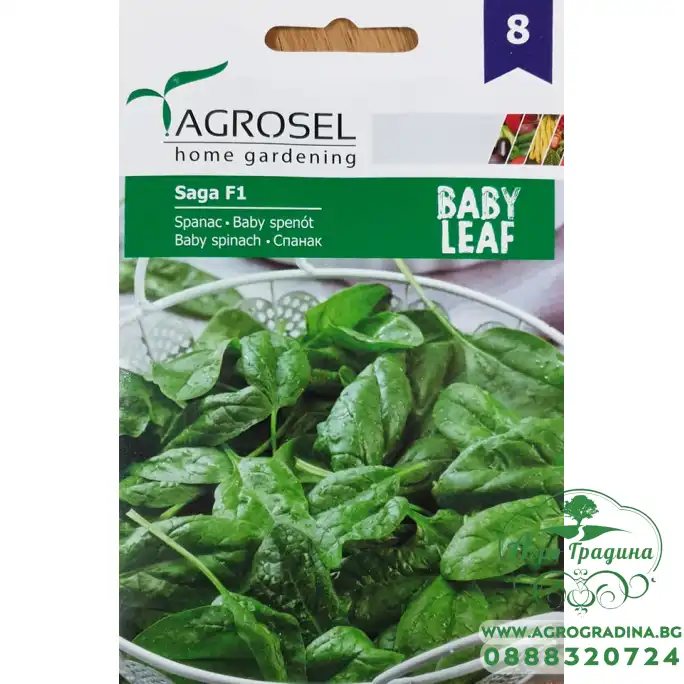 Бейби Спанак Сага F1 Saga F1 - микро растение