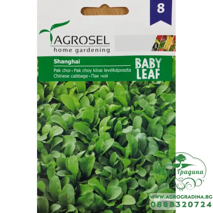 Бейби семена за зеле Пак Чой - микро растение