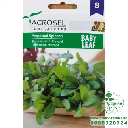 Бейби семена за Манголд - микро растение