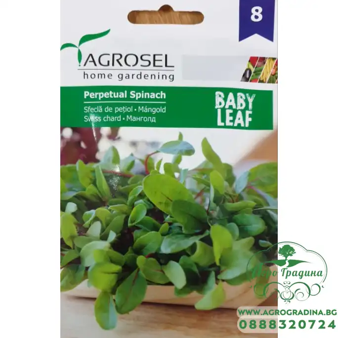 Бейби семена за Манголд - микро растение