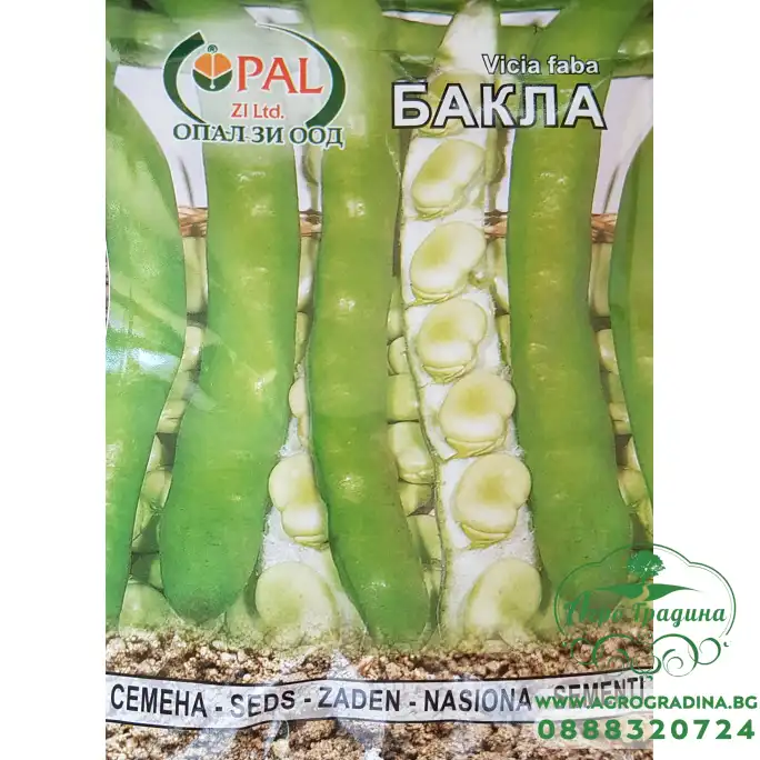 Бакла Бакла