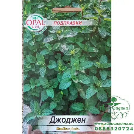 Семена от Джоджен