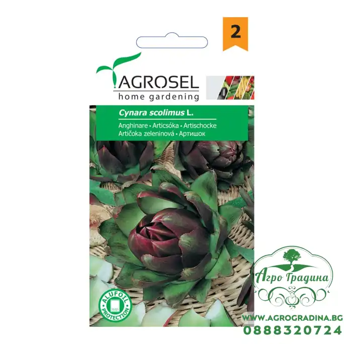 Семена от Артишок