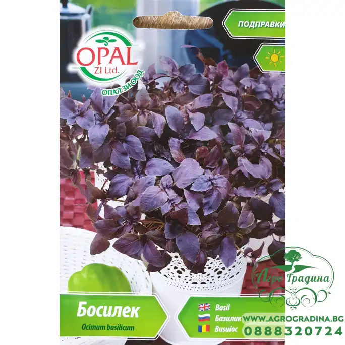 Босилек Червен