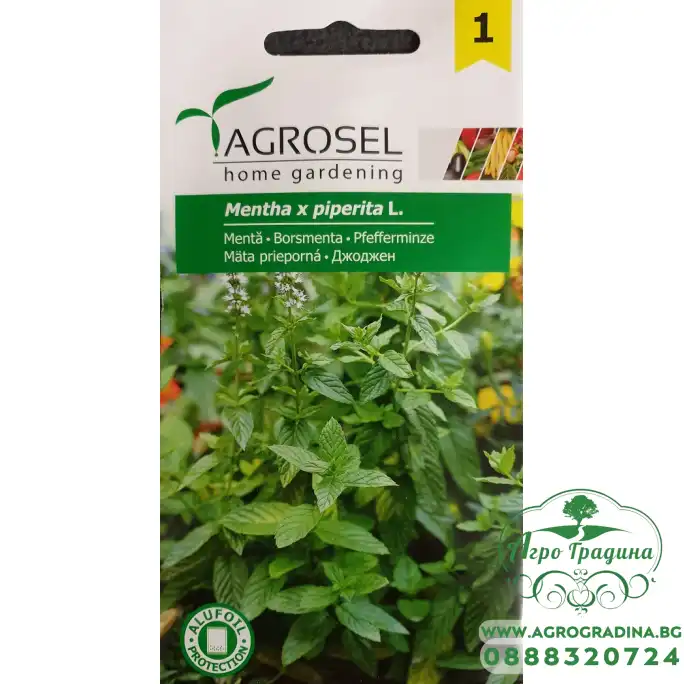 Джоджен Mentha piperita
