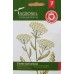 Бял равнец / Achillea millefolium