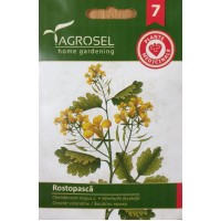 Змийско мляко / Chelidonium majus