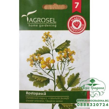 Змийско мляко / Chelidonium majus