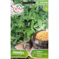 Сминдух Trigonella foenum-graecum