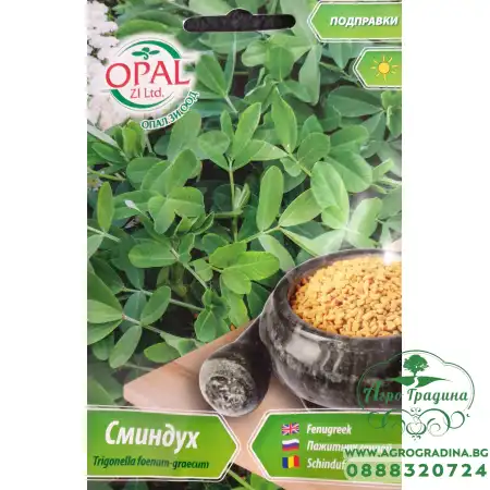 Сминдух Trigonella foenum-graecum