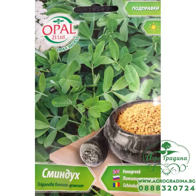 Сминдух Trigonella foenum-graecum
