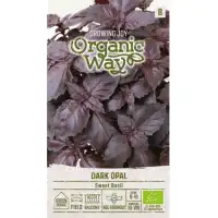 Органик Босилек Тъмен Опал Ocimum basilicum