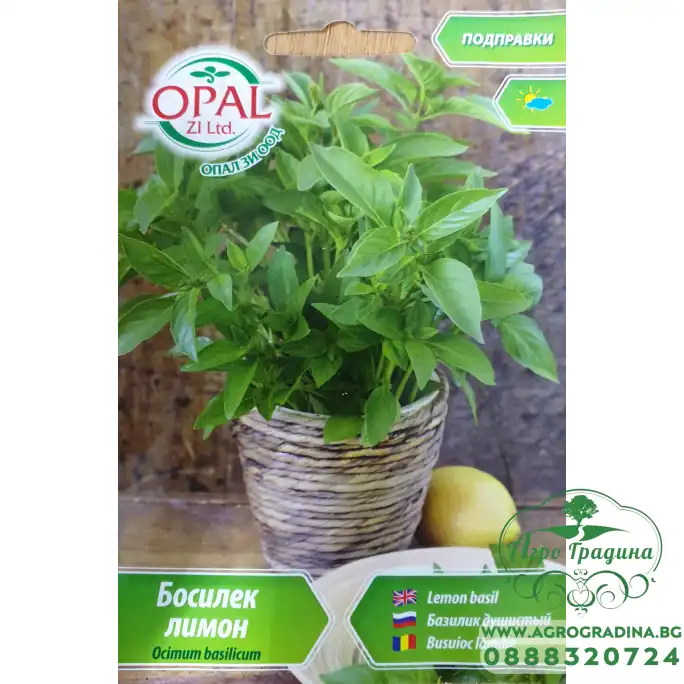 Босилек лимон