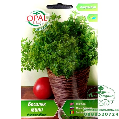 Босилек мини