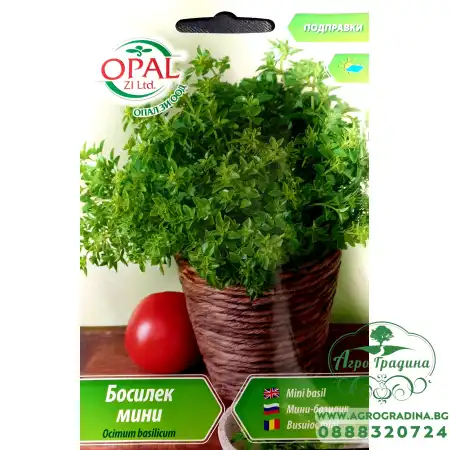 Босилек мини