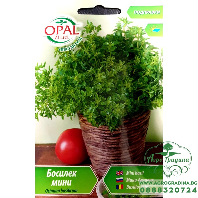Босилек мини
