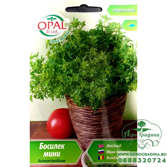 Босилек мини