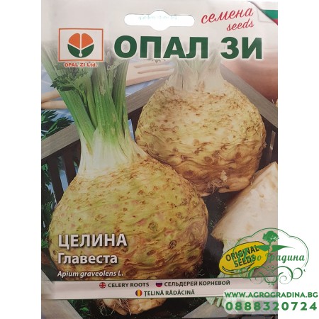 Целина главеста